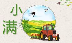 祝福语简短优美,向你带来小满的美好祝福