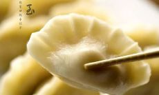 以冬至为由的文化背景下,探究吃饺子所带来的寓意与祝福语,以及在社交媒体平台上分享的个性化句子的创作