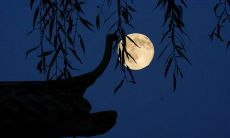 无与伦比的收集——中秋节万千唯美祝福语汇总