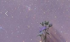 探寻出发点独特、语言富有想象力的小众文案,令人惊艳心扉