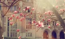 的生命——一份珍贵的礼物