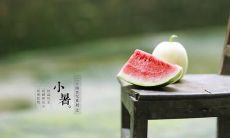 欢迎小暑节气的到来!送上祝福,让您的早上更美好——欣赏小暑节气祝福早上好的精美图片!