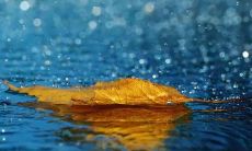 遭遇言而无信的人，让我内心焦躁不安