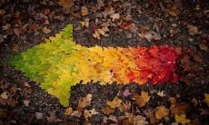 表达感激之情、寻求回报的铭言和格言