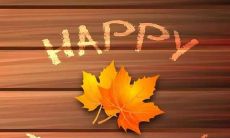 表达感激之情的支持性句子，让我们心存感激，倍感温暖！