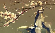 精选古风仙句,包含各种精美句子,给你带来独特的文学体验