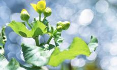 「随着季节变迁，阳光温暖的夏天终于来了！」