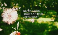 可以在朋友圈分享，用来探讨人生的句子