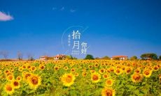 九月终结，十月迎来了一连串引人入胜的美妙诗句