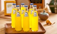 一些甜蜜的句子，表达对汽水的热爱和喜爱