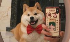 精选经典且妙趣横生的句子,让你畅游文学海洋