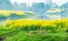 表达感激之情的精美句子,以表达对好友的感恩之情
