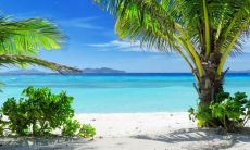 一些简短表达海滩度假心情的句子