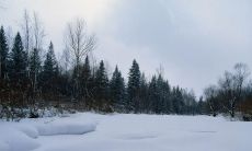 感恩朋友的句子：表达真诚感激之情、感受友谊之浓厚、铭记友情之珍贵、感慨人生中的宝贵财富、强调友谊长存于心