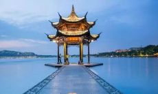 感激万物,动物们表达感恩之情的句子集锦