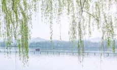 多种表达感恩老师之情的句子集锦,用以表达对老师的感激与敬意的多种方式