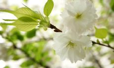 表达员工感激之情的长标题:感激员工付出的劳动、时间和智慧成果,向所有辛勤工作的员工致以深深的感激和由衷的敬意!