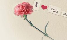 在三八妇女节中所需要的祝福语卡片与短信内容大集合