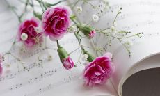 品味妈妈美好的品质和无私的爱，为她送上完美的颂歌：一段简短却唯美的赞美之词！