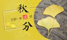 有关秋分的发朋友圈说说推荐,适合在秋分这一特殊时刻与朋友分享的秋分心情文字