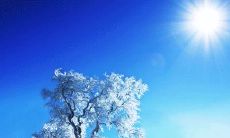 冬季雪景下，让人心生温暖与美好的唯美句子推荐