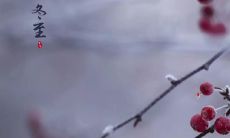 冬至带来温暖的话语让人心感舒适愉悦