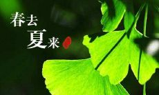 送上简短的立夏祝福语，让你的心情顿时变得温暖！