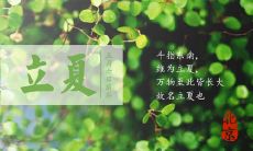 优美可爱的带有祝福文字的立夏图片,为您传递暖暖的美好祝福!