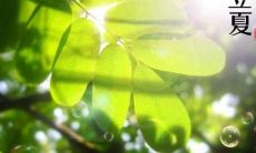 传统文化中立夏节气的祝福语，祝愿人类在这个节气内身心愉悦、收获丰硕、生活美满