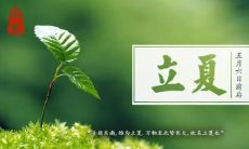 立夏节气祝福语全集,共收录各种祝福语句,包括立夏节气的传统祝福语、各地方言祝福语和个性化祝福语,让您在迎接夏天的同时传递温馨、祝福与喜悦!