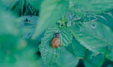 2022年最新立夏节气的祝福语集锦,包罗万象,祝愿您的生活更加美好!