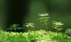 通过生病的体验，我领悟到的人生哲理及心灵感悟