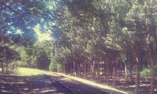 如何用善良作为我们人生旅程的座右铭？