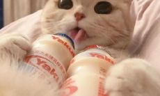 向最心爱的人轻轻细语:送上最温馨的暖心话语