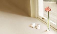 在立夏这个日子，久违的阳光终于露出了笑脸-来聊聊见到太阳的感受吧