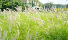 如何写出既精练又引人入胜的文案？在知乎这个问答社区上，用户们分享了哪些成功的经验和技巧呢？