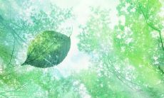 初夏来袭,如何写出清新动人的句子?