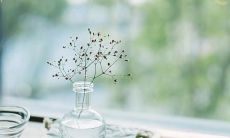 经历了奇怪而且惊险的日子，现在我想要分享一些甜甜的、可爱的小句子，让所有人都能在这个世界上找到自己的安慰和快乐