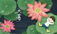 分享关于大暑的句子,感受炎炎夏日的热度与生命的富饶