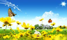 如何用恰当的表达，向上级表达感恩之情？