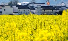 一些与春分相关的古老智慧谚语和俗语，让我们更好地了解这个节气的重要性和意义