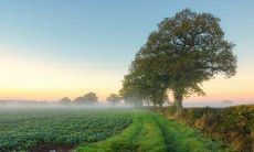 30个深刻的人生感悟句子,让你领悟更深刻的人生智慧