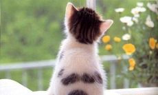 享受着自由快乐的人，欢快地舞动着生命之歌