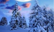 享受朋友圈中的冬日风光：美丽雪景文案分享