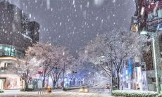 最新大雪纷飞的朋友圈分享：有看到滑雪、堆雪人、烧烤、取暖等等照片！