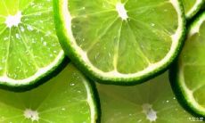 细品人生中各种欢乐、挑战、悲伤、和平的美好句子