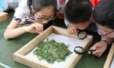 探究如何构造句子：深入剖析句子的构建方法和技巧