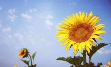 手把手教你如何撰写富有感染力的并且意义深远、令人印象深刻的标题