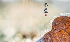 富有诗意的冬至句子，引领你进入温馨浪漫的冬季世界