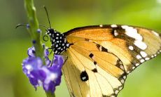 一百句甜蜜幸福爱情句子，让你的爱情更加浪漫甜蜜！